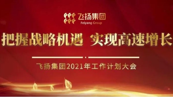 飛揚(yáng)集團(tuán)召開2021年度工作計劃會議